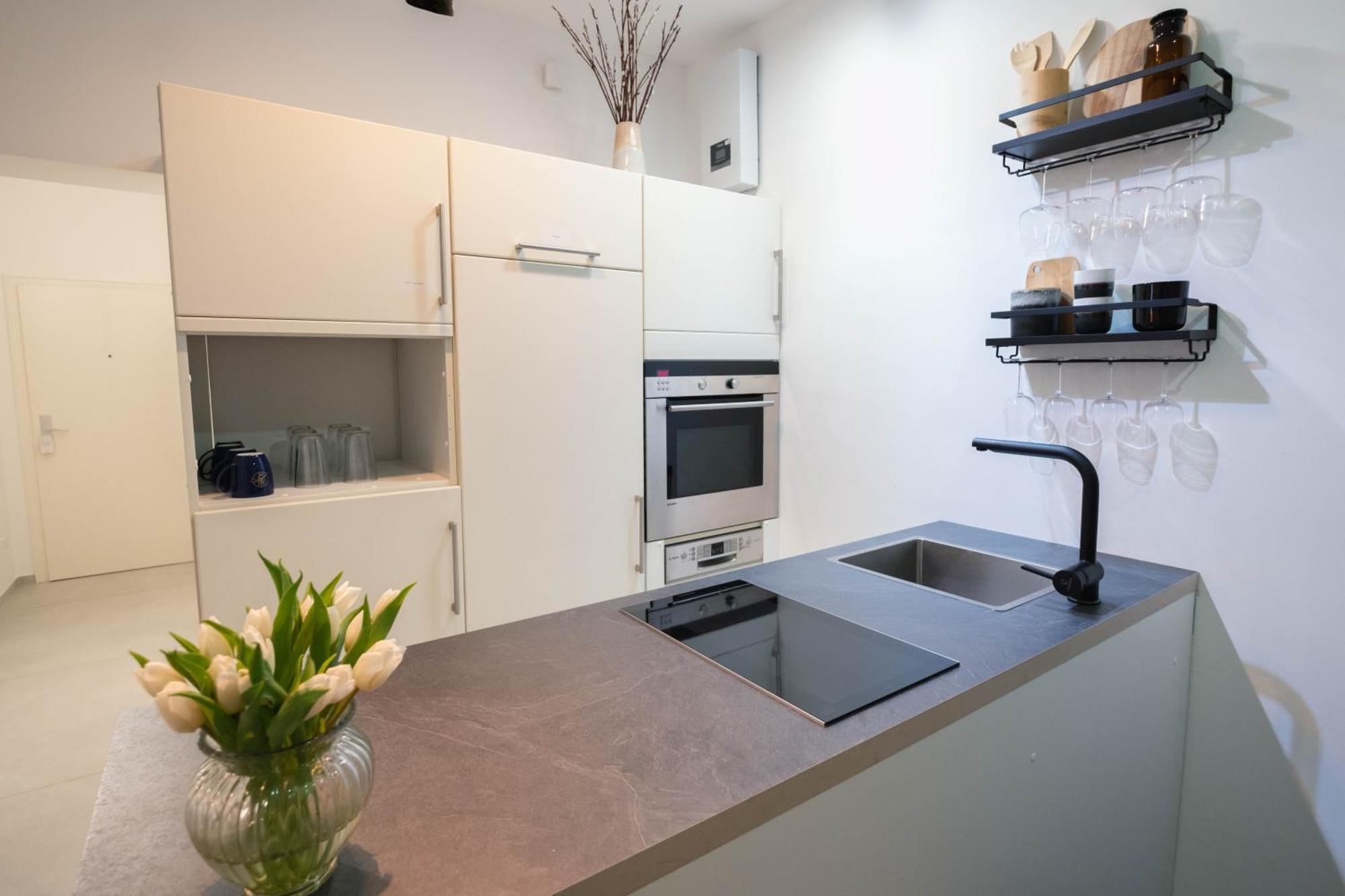Tanic Deluxe Apartment Garden Central Industrial Fair دوسلدورف المظهر الخارجي الصورة